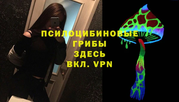 2c-b Липки