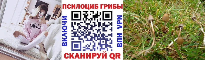 Галлюциногенные грибы Cubensis  мориарти клад  Улан-Удэ 
