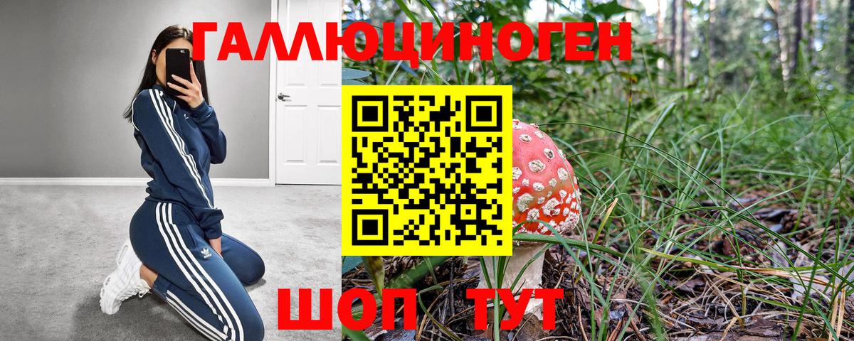 Галлюциногенные грибы Cubensis Улан-Удэ