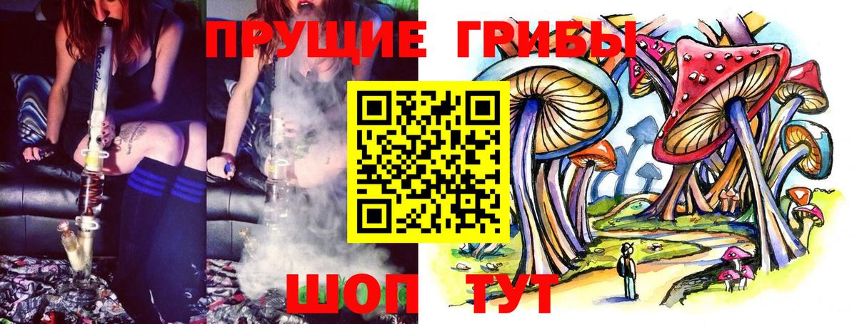 Улан-Удэ  Псилоцибиновые грибы мицелий  Галлюциногенные грибы Psilocybe  Вход с VPN 